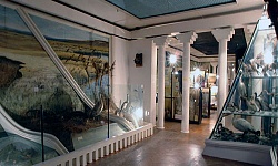 Музеи Ейска